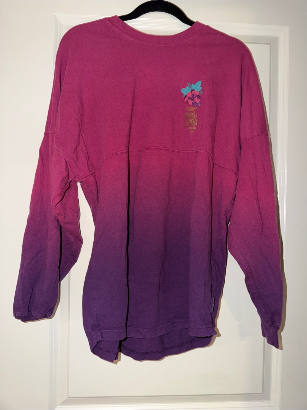 Disney food & wine 2022 spirit jersey